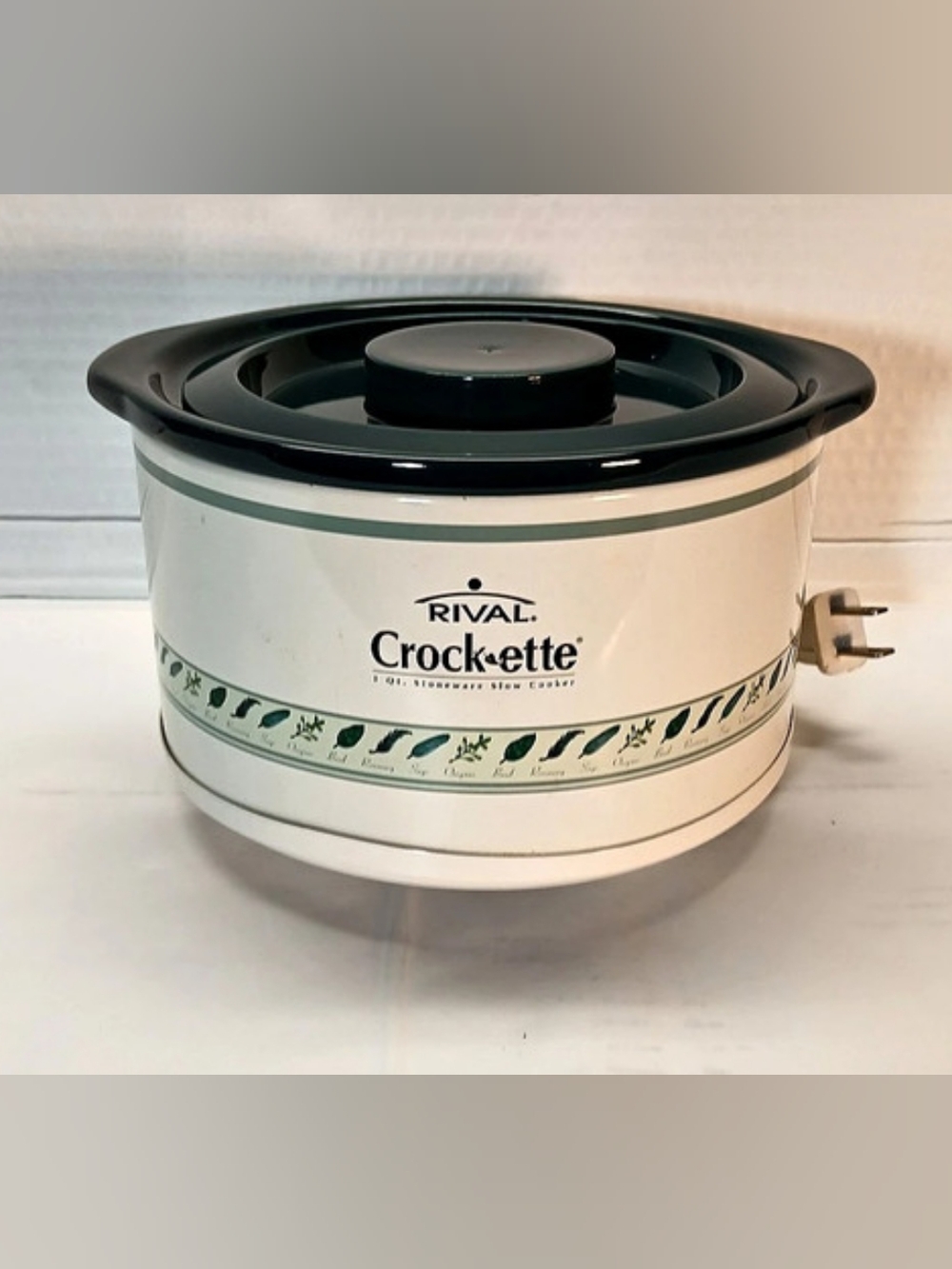 Rival Crock-ette 1 Qt. Stoneware Slow Cooker (Herb Pattern) Tested